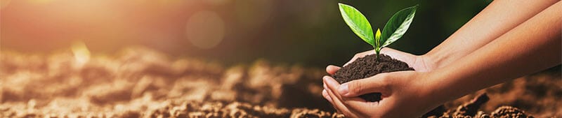 Bannière "Réduire notre impact sur l'environnement grâce à une logistique durable"
